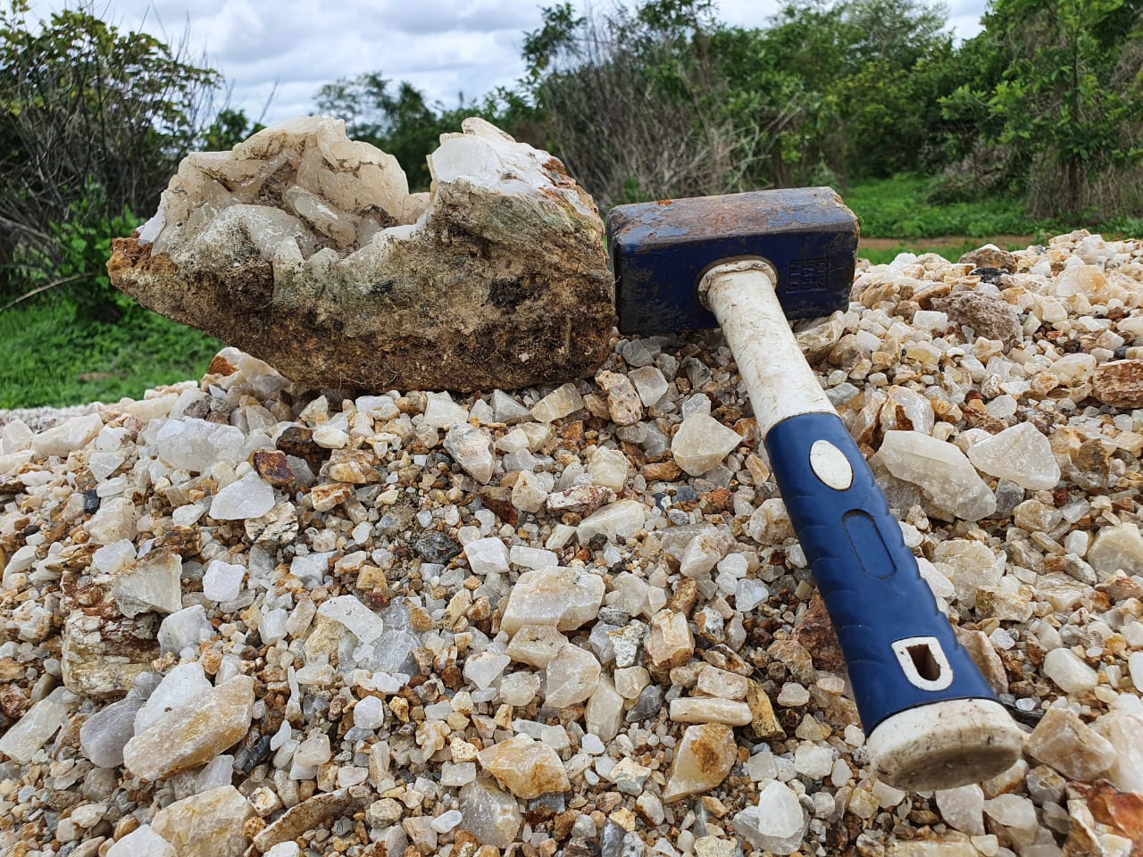Quartz-hosted vein sample.